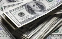 Năm 2024, kiều hối về Việt Nam khoảng 16 tỷ USD