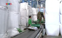 Cung đang vượt cầu, khiến giá gạo giảm