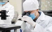 Phát triển khoa học công nghệ, đổi mới sáng tạo và chuyển đổi số là con đường sống còn