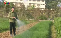 Người dân Cao Bằng vất vả mưu sinh trong giá rét