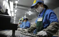 Trung Quốc cảnh báo lừa đảo xuất khẩu lao động xuyên biên giới