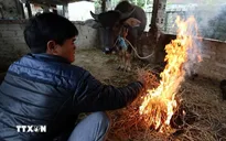Thời tiết đêm 16/1: Nhiều khu vực vùng núi phía Bắc rét đậm, rét hại