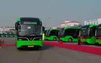 Hà Nội: Khai trương thêm 3 tuyến xe buýt điện