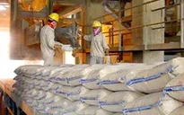 Xử lý thông tin báo chí nêu “các nhà máy xi măng thua lỗ, có nguy cơ dừng sản xuất”