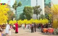 TP Hồ Chí Minh: Rộn ràng không gian Tết truyền thống
