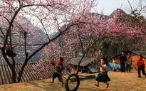 Du xuân Sapa 2025 hành trình khám phá nàng thơ Tây Bắc