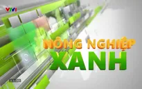 Nông nghiệp xanh: Niềm vui từ những cánh đồng
