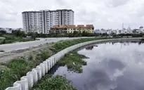 TP Hồ Chí Minh kỷ luật các tổ chức Đảng, đảng viên sai phạm liên quan đến Tập đoàn Thuận An