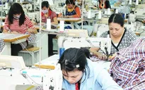 “Mỏ vàng” của dệt may Việt Nam