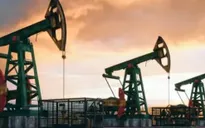 Nhiều nền kinh tế muốn tăng nhập khẩu dầu khí từ Mỹ