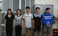 Bắt giam 5 thanh niên lừa bán gấu Baby Three rồi chiếm đoạt tiền cọc