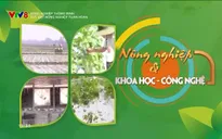 Nông nghiệp thông minh: Sức bật nông nghiệp tuần hoàn