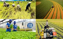 Phát triển bền vững từ nông nghiệp thuận thiên