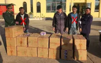 Bắt giữ hai đối tượng mua 500kg pháo để bán kiếm lời, kèm 2.800 viên ma túy để dùng