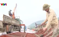 Sẵn sàng thi công xuyên Tết trên công trường cao tốc Bắc Nam