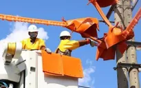Hàng nghìn ca trực đảm bảo điện trong dịp Tết Ất Tỵ