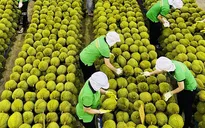 Xuất khẩu nông sản năm 2025 đặt mục tiêu 70 tỷ USD