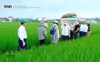 Nông nghiệp xanh: Nhân rộng mô hình sản xuất bền vững