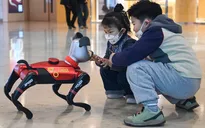Thú cưng robot AI gây sốt tại Trung Quốc