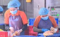 Long An: Tăng cường kiểm tra an toàn thực phẩm trong dịp Tết Nguyên đán