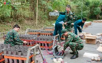 Trận địa pháo hoa đón chào Xuân Ất Tỵ năm 2025 tại Nghệ An