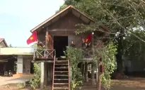 Tết về trên buôn làng với niềm vui bội thu