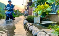 TP Hồ Chí Minh: Nguy cơ ngập úng do triều cường ngày mùng 2 Tết