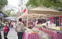 Xuân về trên Phố sách Hà Nội