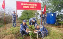 Quần đảo Trường Sa hưởng ứng Tết trồng cây