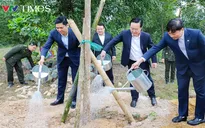 Nghệ An phát động "Tết trồng cây đời đời nhớ ơn Bác Hồ" Xuân Ất Tỵ 2025