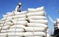 Những thị trường tỷ đô của gạo Việt Nam