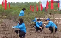 Trồng cây hưởng ứng Ngày đất ngập nước thế giới