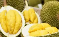 Xuất khẩu rau quả kỳ vọng vượt mốc 8 tỷ USD năm 2025