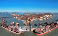 WTO "mắc kẹt" giữa tranh chấp thương mại