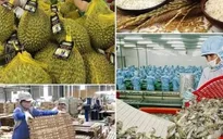Căng thẳng thương mại Mỹ - Trung: Hướng đi cho nông sản Việt?