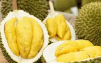 Trung Quốc siết chặt quy định nhập khẩu sầu riêng