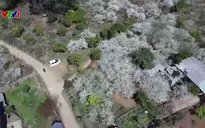 Bắc Bộ bước vào đợt rét nhất từ đầu mùa đông