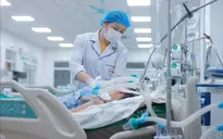 Nguy cơ gia tăng dịch bệnh trong điều kiện thời tiết ẩm thấp