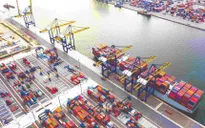 Đa dạng hoá thị trường thúc đẩy tăng trưởng xuất khẩu