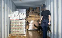 Bỉ sử dụng tài sản bị tịch thu để chống ma túy