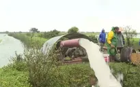 Quảng Trị: Cứu 3.000 ha lúa bị ngập úng