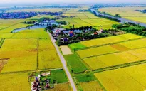 Xin ý kiến Ủy ban Thường vụ Quốc hội việc giảm tiền thuê đất năm 2024