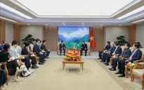 Thủ tướng Phạm Minh Chính tiếp lãnh đạo Samsung Việt Nam