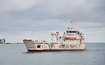 Bộ Tư lệnh Vùng 5 Hải quân tiếp nhận chiến sĩ mới