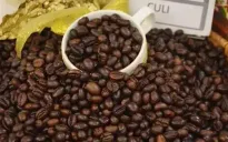 Ngành cà phê Việt Nam đang hưởng lợi từ biến động giá
