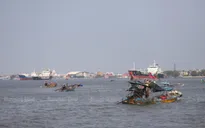 Thái Lan cấm đánh bắt cá ngoài khơi