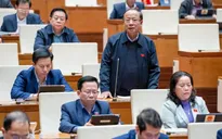Doanh nghiệp Nhà nước không nên lấn sân sang "cái lọ, cái chai"