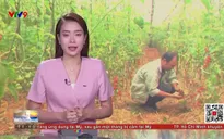 Sáng Phương Nam - 15/02/2025