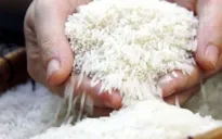 Giá gạo Thái Lan thấp nhất 18 năm