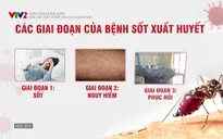 Hành trình sống khỏe: 	Mắc sốt xuất huyết khi đang mang thai